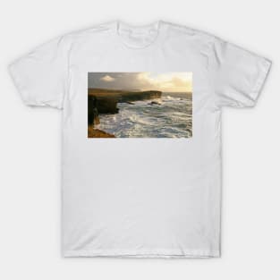 Wild Ocean T-Shirt